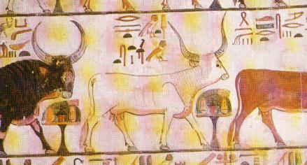 Figura 2. Vaca celestial en la tumba (QV 66) de la reina Nofretari, Biban el-Harim, dinastia XIX (tempus Ramses II)