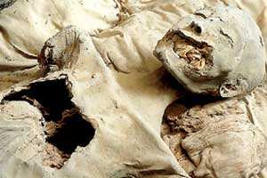 Hawass niega que haya sido descubierta momia de la reina Nefertiti