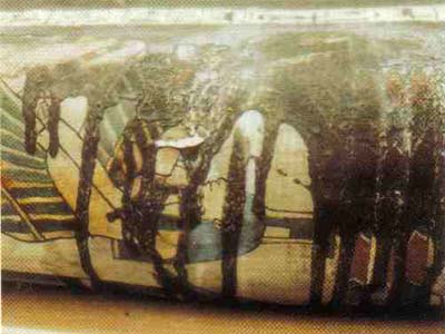 Fotografías 1a y 1b. Momia-cartonaje cubierta en gran parte de libaciones ungüentarias (XXII / XXV Dinastía)