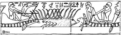 -Escena de los Pastores de Ganado- en el mastaba (Saqqara, Lepsius S16) de Shepsesra. Principios. Mediados Dinastía V. Dibujo del autor