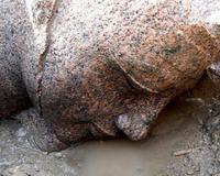 Descubierto en Luxor un busto del faraón Amenhotep III de hace 3.400 años