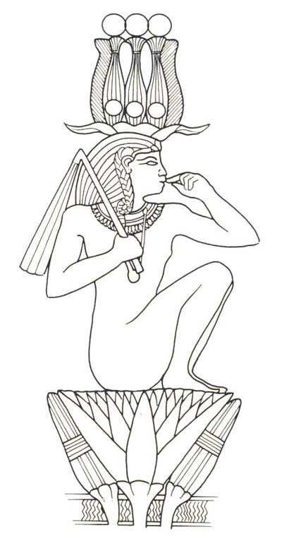 Fig. 4. Rey-sol emergiendo del loto. Dibujo en R.H. WILKINSON, Todos los dioses del Antiguo Egipto, Madrid, 2003, p. 132