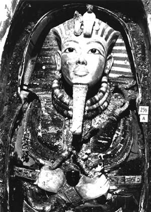 Fig. 2. Máscara de Tutankhamón in situ, cubriendo aún la cabeza del fa-raón, y complementada con llamativos collares. La foto muestra algunos otros objetos, entre los muchos que se colocaron sobre la momia. Se observa también la resina endurecida que difi-cultó tanto las tareas
