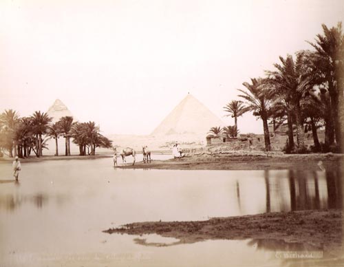 Fotografía a la albúmina realizada por Béchard, en el último tercio de 1800, que representa una vista panorámica de un palmeral y al fondo las pirámides de Guiza.