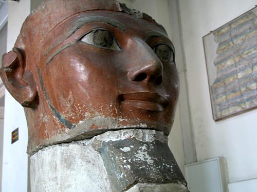 Foto 3.- Hatshepsut inició los estudios de ADN