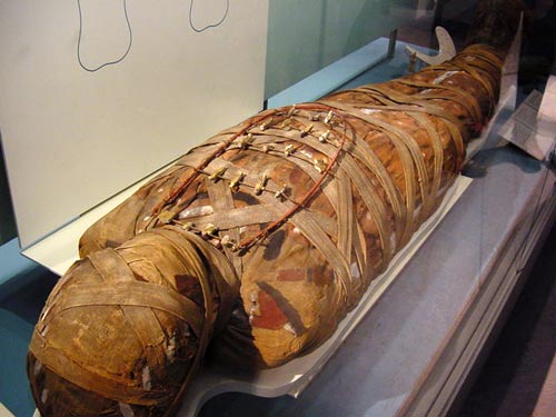 Foto 4.- Las momias egipcias