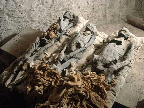 Foto 7.- Embalsamadas en Egipto