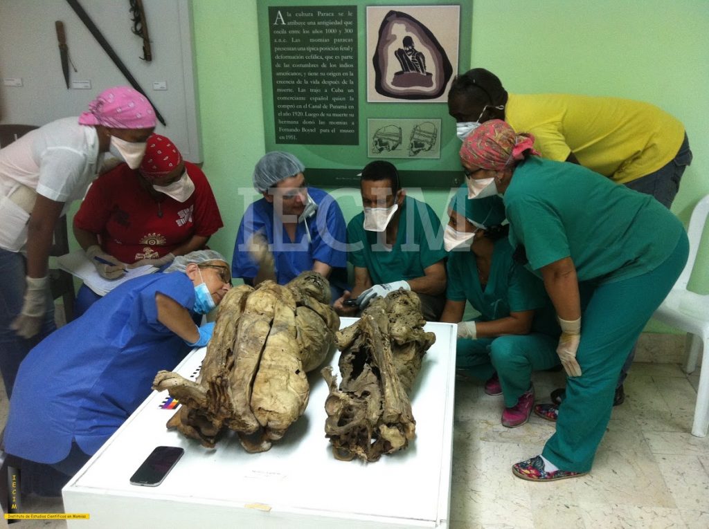 Fig. 6 El equipo de conservadores del Museo Bacard_ trabajando con las momias peruanas