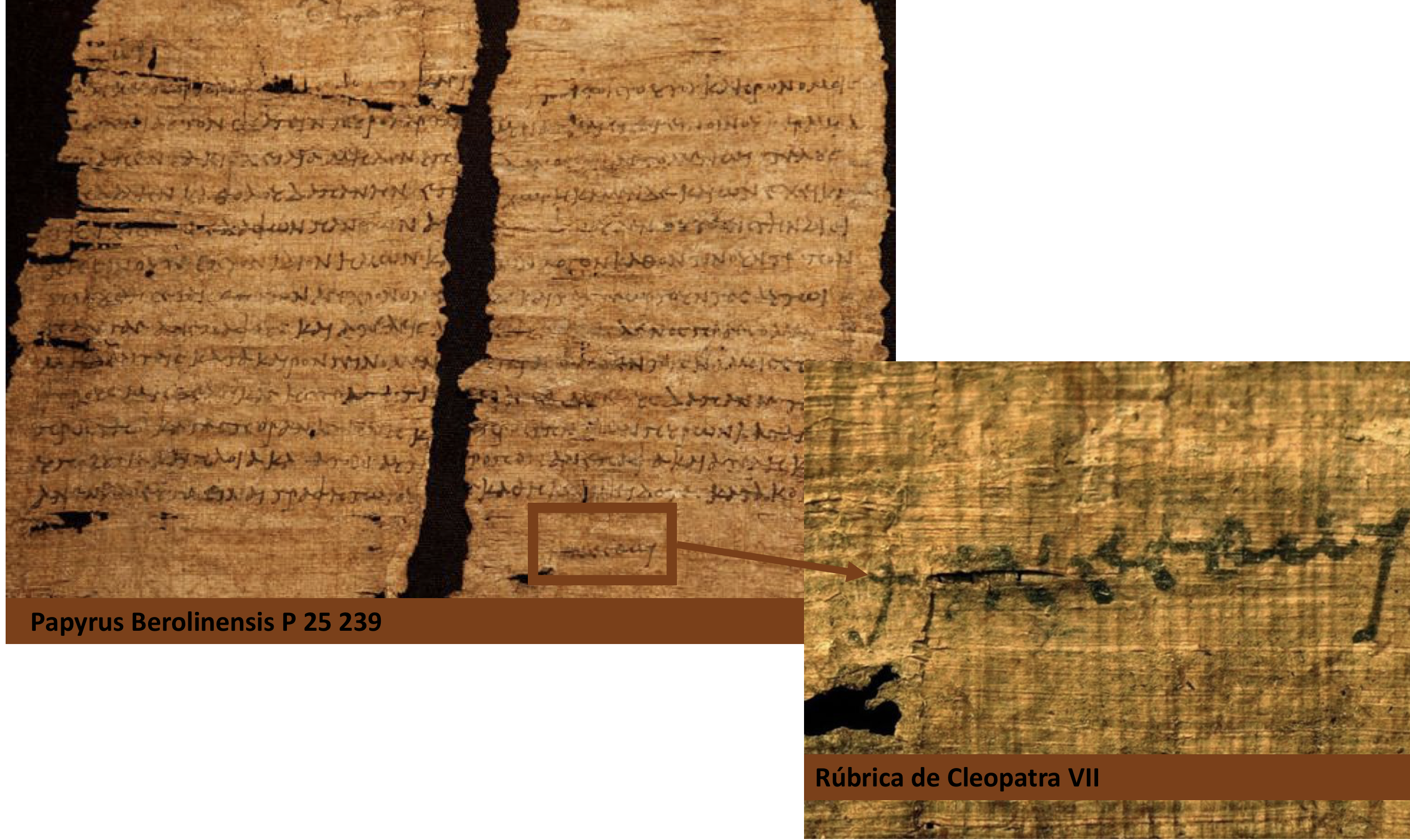 cleopatra-firma-papiro