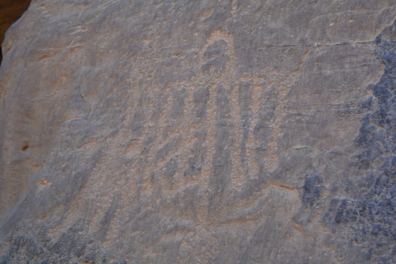 petroflifo-asuan-wadi-subeira