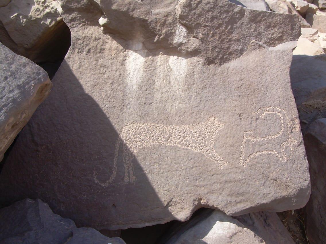 petroglifo-wadi-abu-subeira