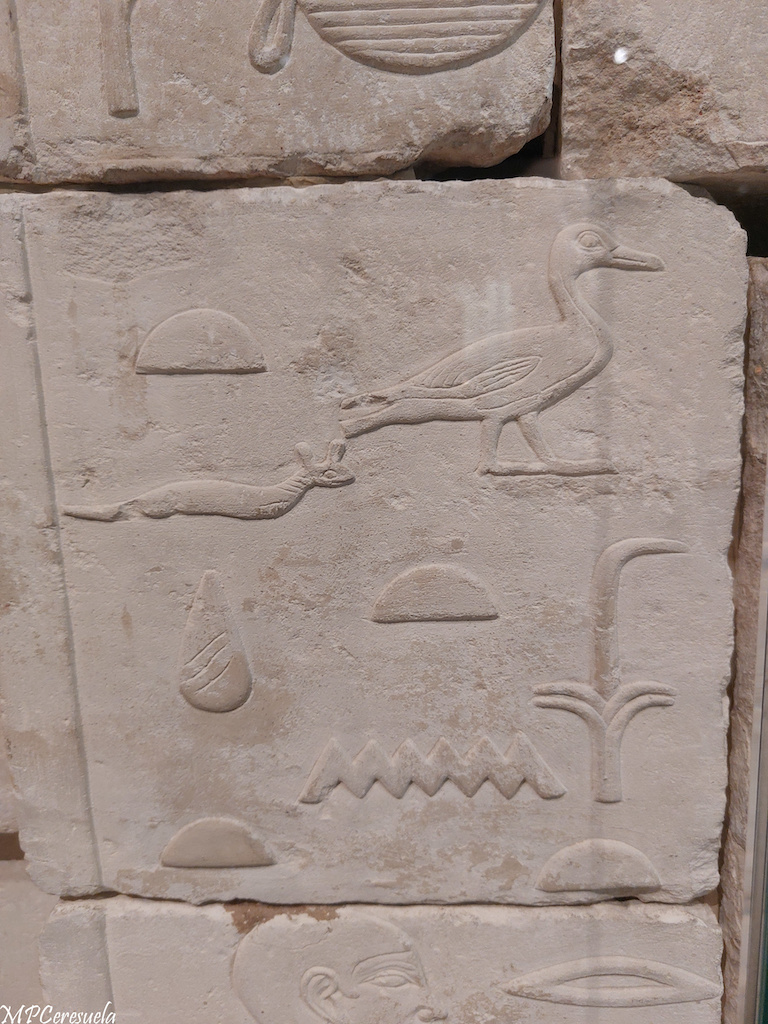 La leyenda de Amasis. Cuentos para niños del antiguo Egipto